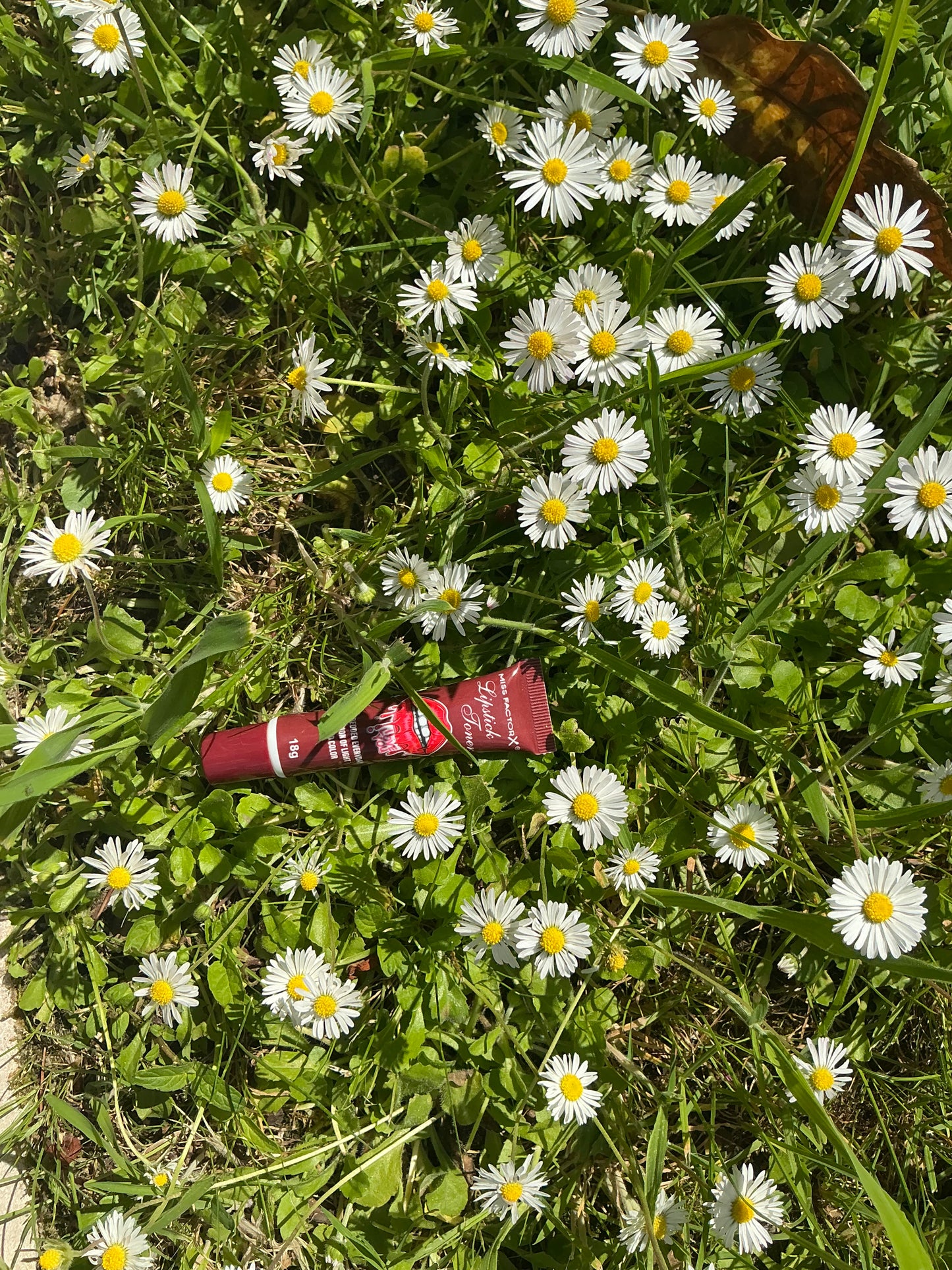 Lipstick bouché marron foncé