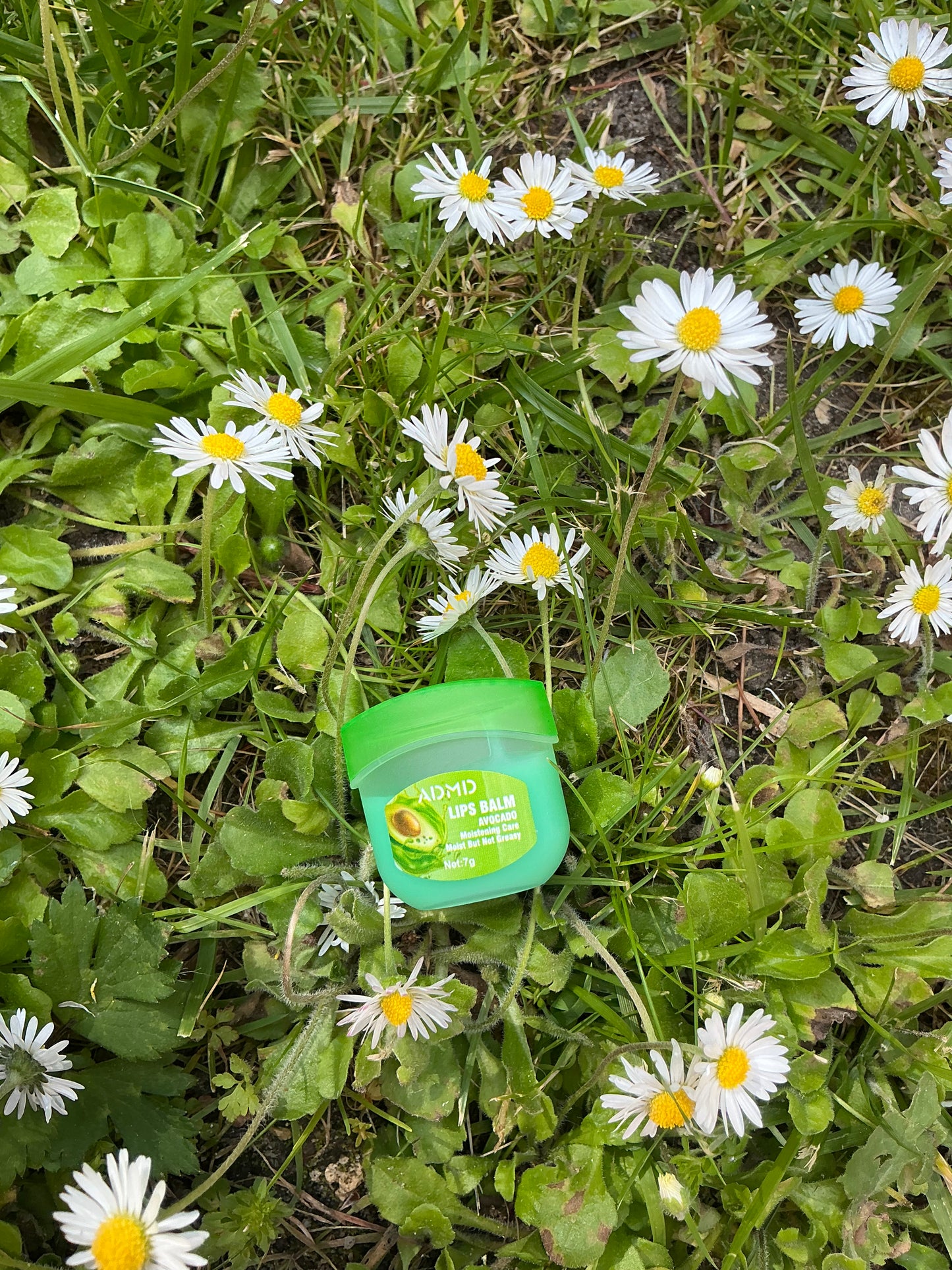 Vaseline avocat