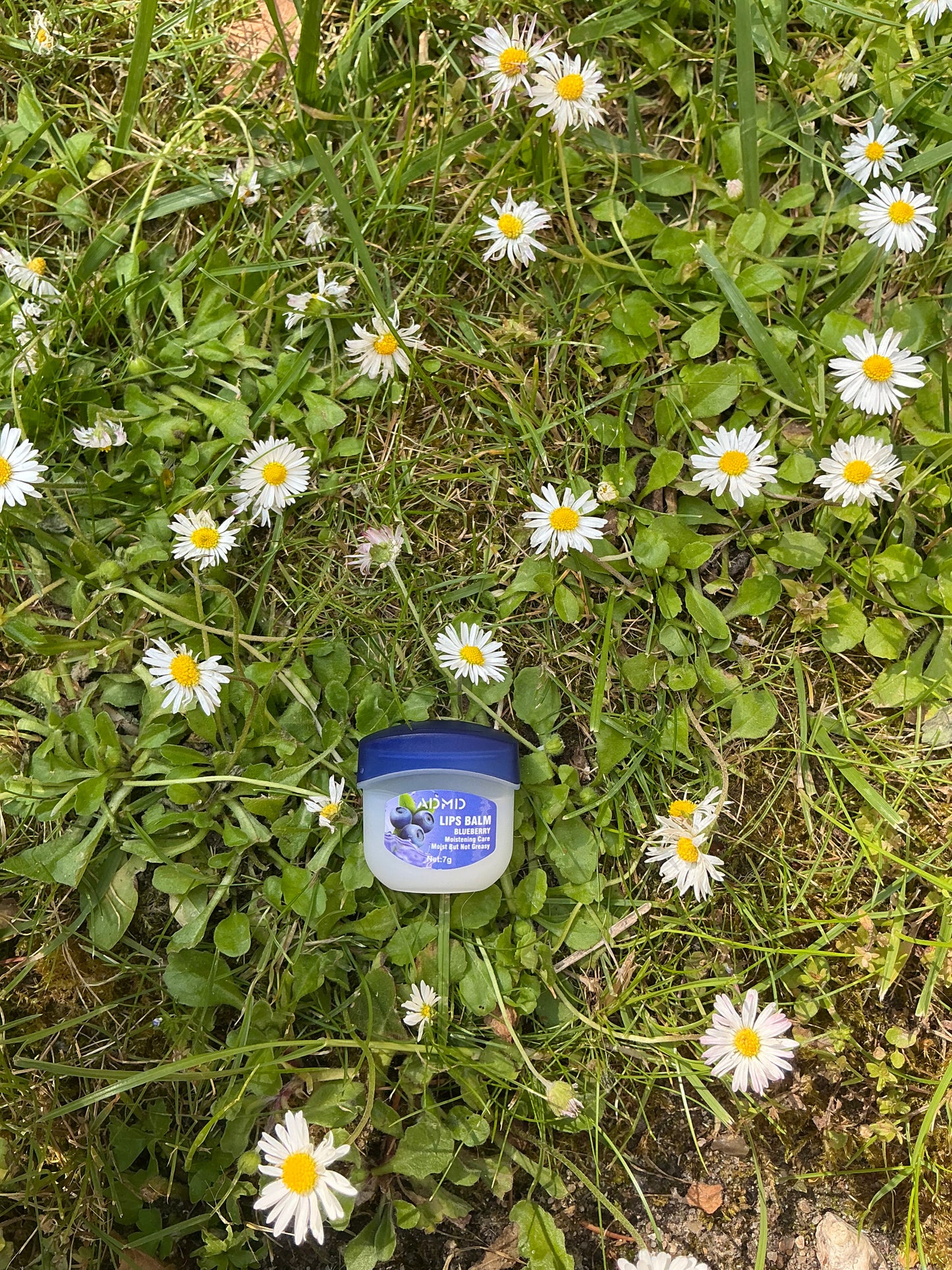 Vaseline myrtille