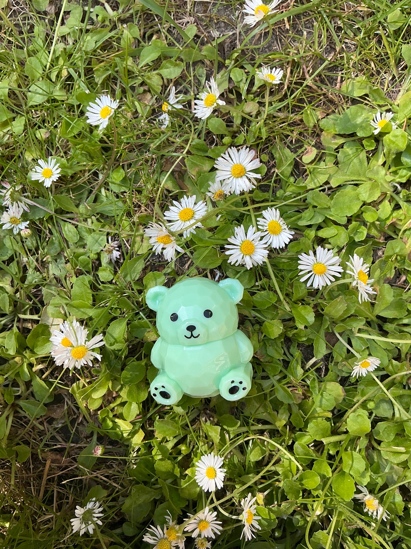 Baume à lèvre nounours vert