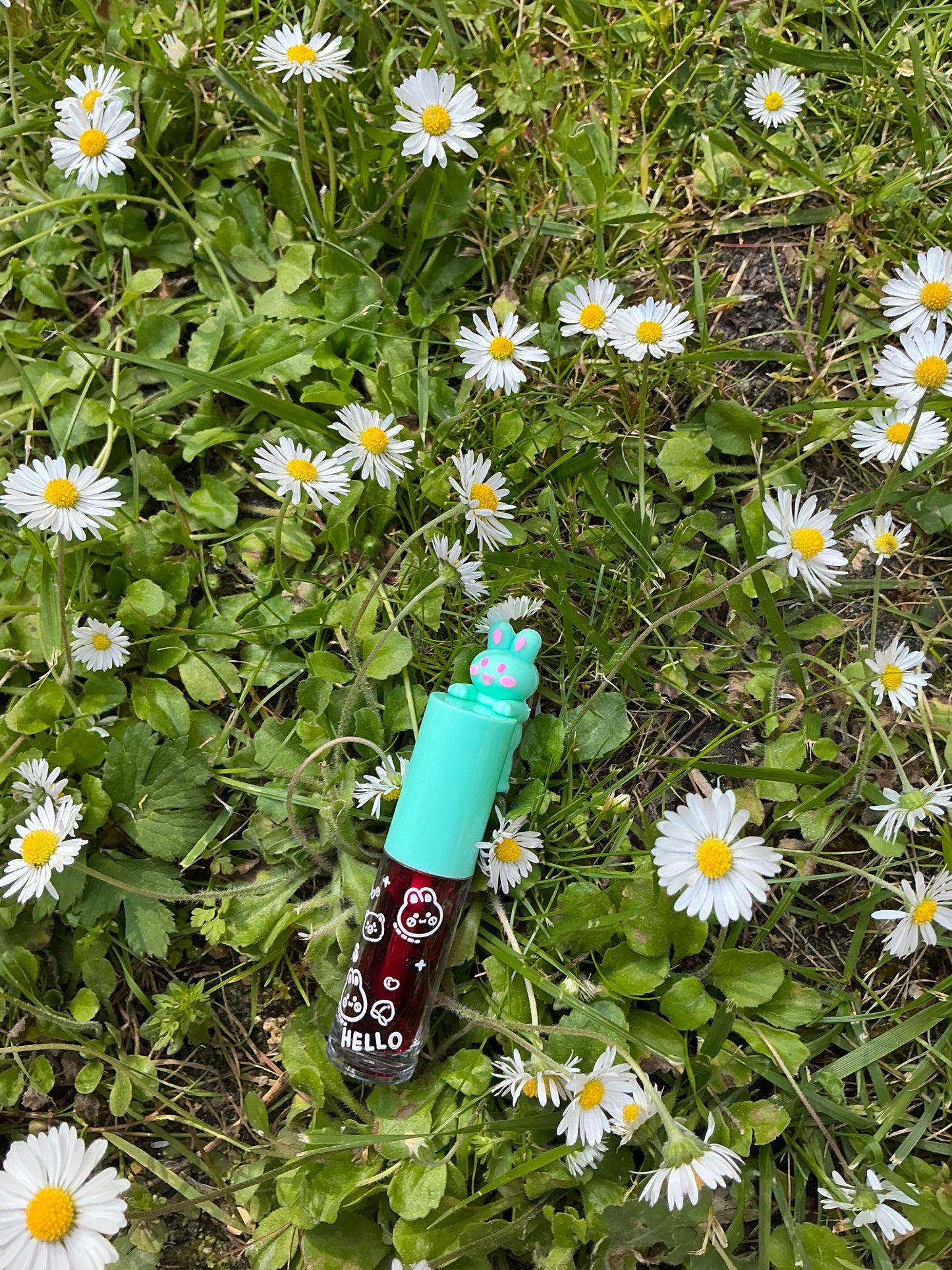 Gloss lapin turquoise