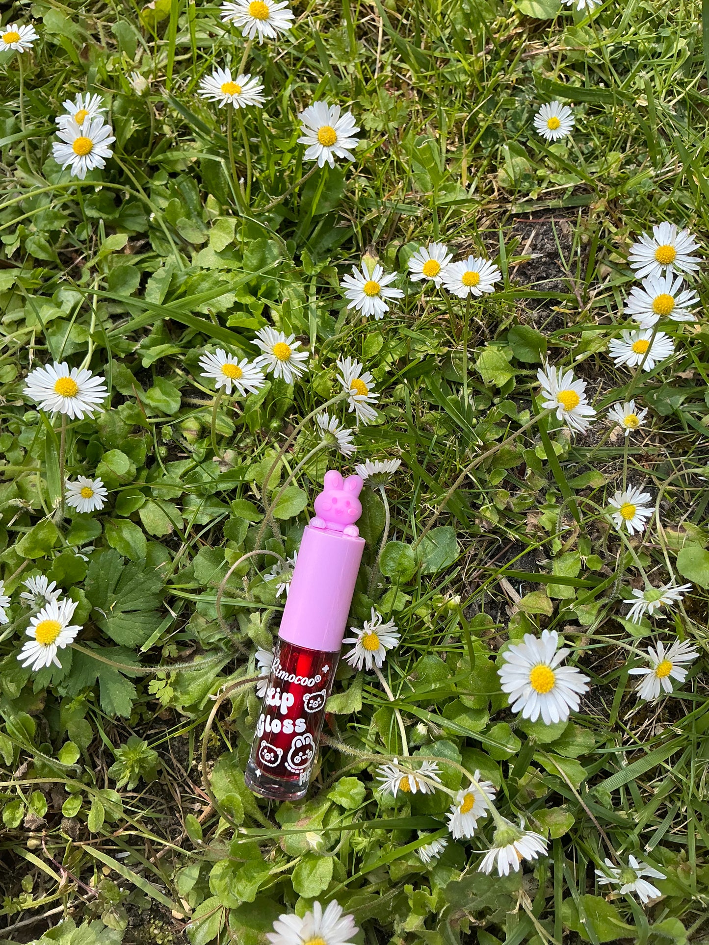 Gloss lapin violet clair