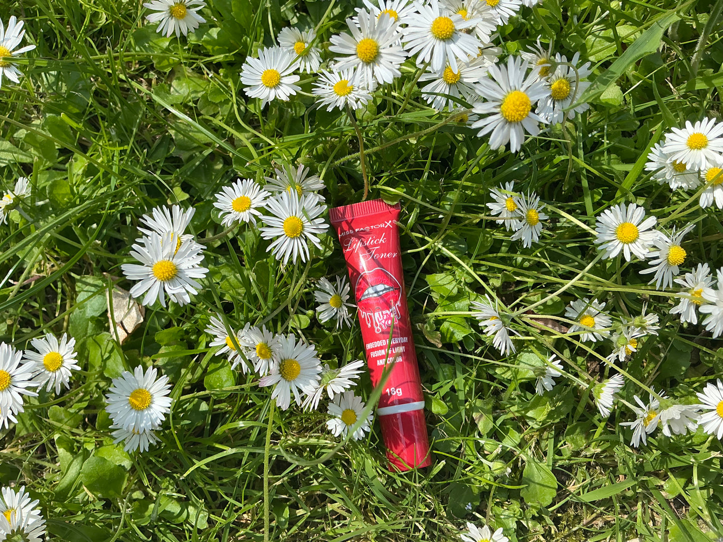 Lipstick bouche rouge foncé
