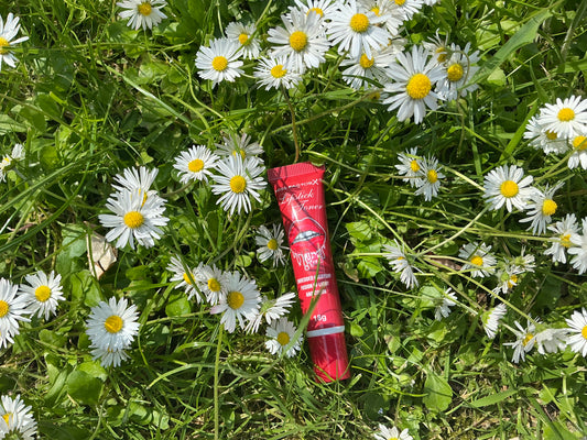 Lipstick bouche rouge foncé