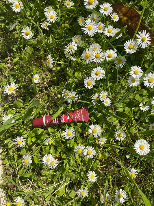Lipstick bouché marron foncé