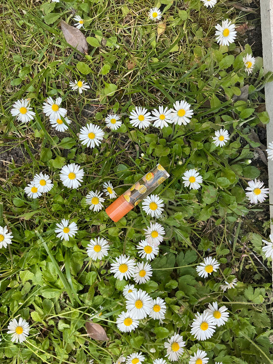 Rollon orange
