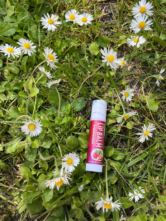Lip balm fraise