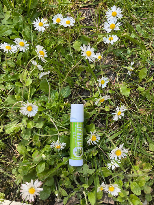 Lip balm aloe Vera