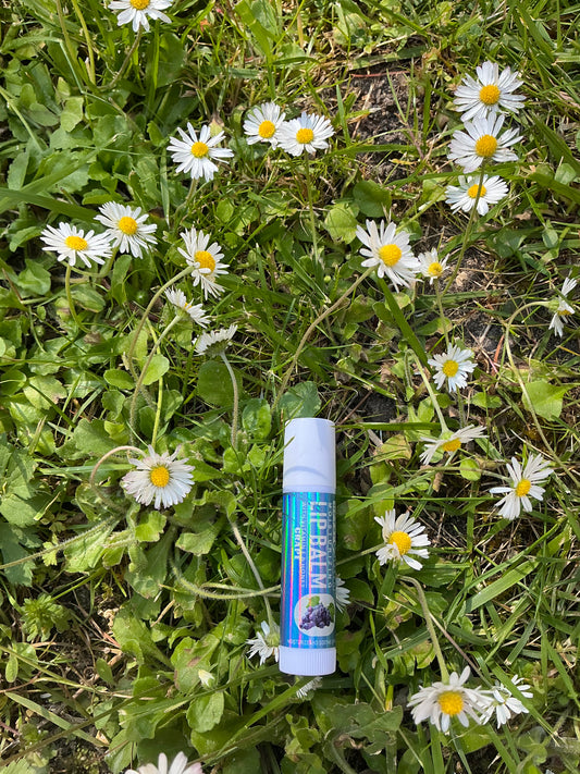 Lip balm raisin