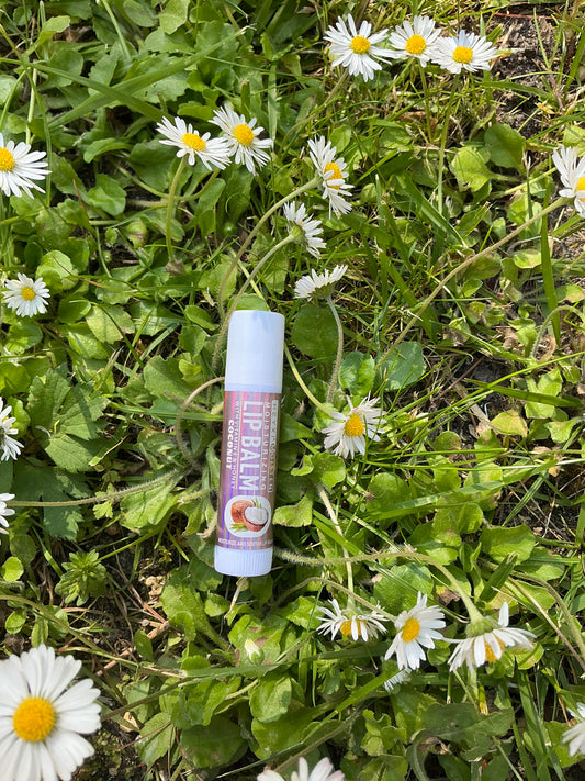 Lip balm coco