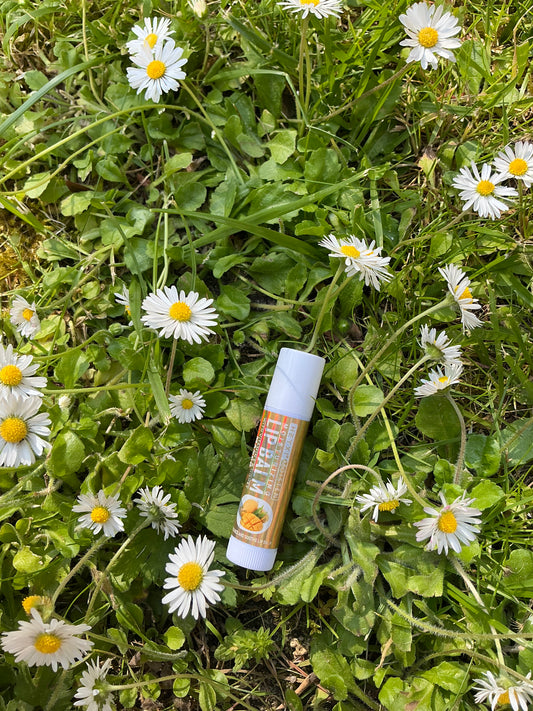 Lip balm mangue