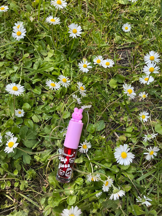 Gloss lapin violet clair